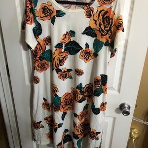 2x nwt Lularoe Jessie